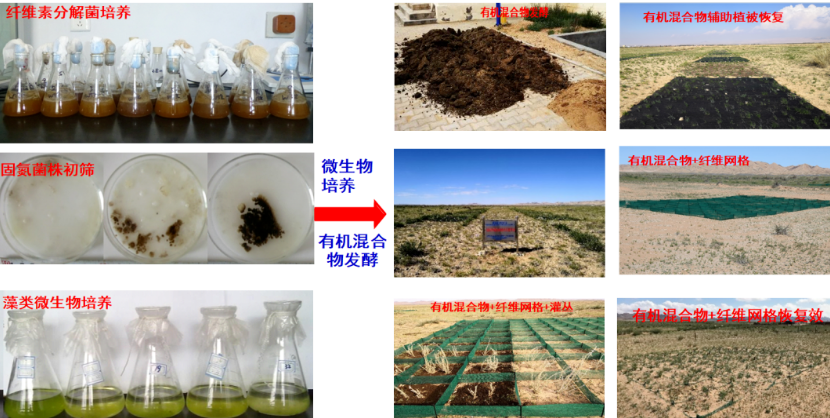 聚乳酸在荒漠化治理中成果斐然！